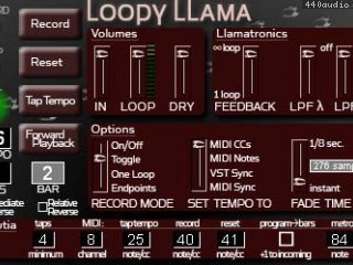 Loopy LLama