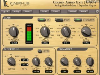 Golden Audio Gate - GAG-1