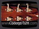 Www.soundpure.com The Collings D2H, a crisp, balanced dreadnought guitar, rings with clarity and evenness. The bass response is great and provides enough support without being to overpowering. Single lines sound punchy and thick - a perfect cannon for bluegrass. This versatile D2H is great if you are looking for a high-end rosewood dread. Call us here at Sound Pure for availability and details.