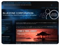 Bluezone Corporation