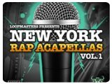 Virtual Instrument : New York Rap Acapellas Vol 1 - pcmusic