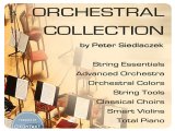 Instrument Virtuel : Best Service Lance Complete Orchestral Collection - pcmusic